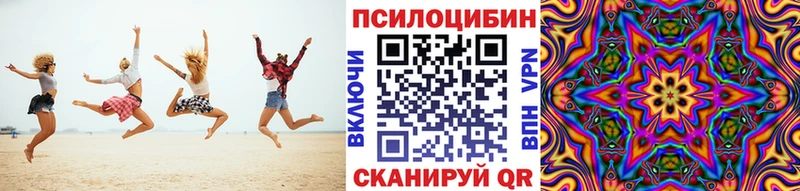 Псилоцибиновые грибы Psilocybe Пласт