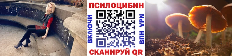 Псилоцибиновые грибы Psilocybe  Пласт 